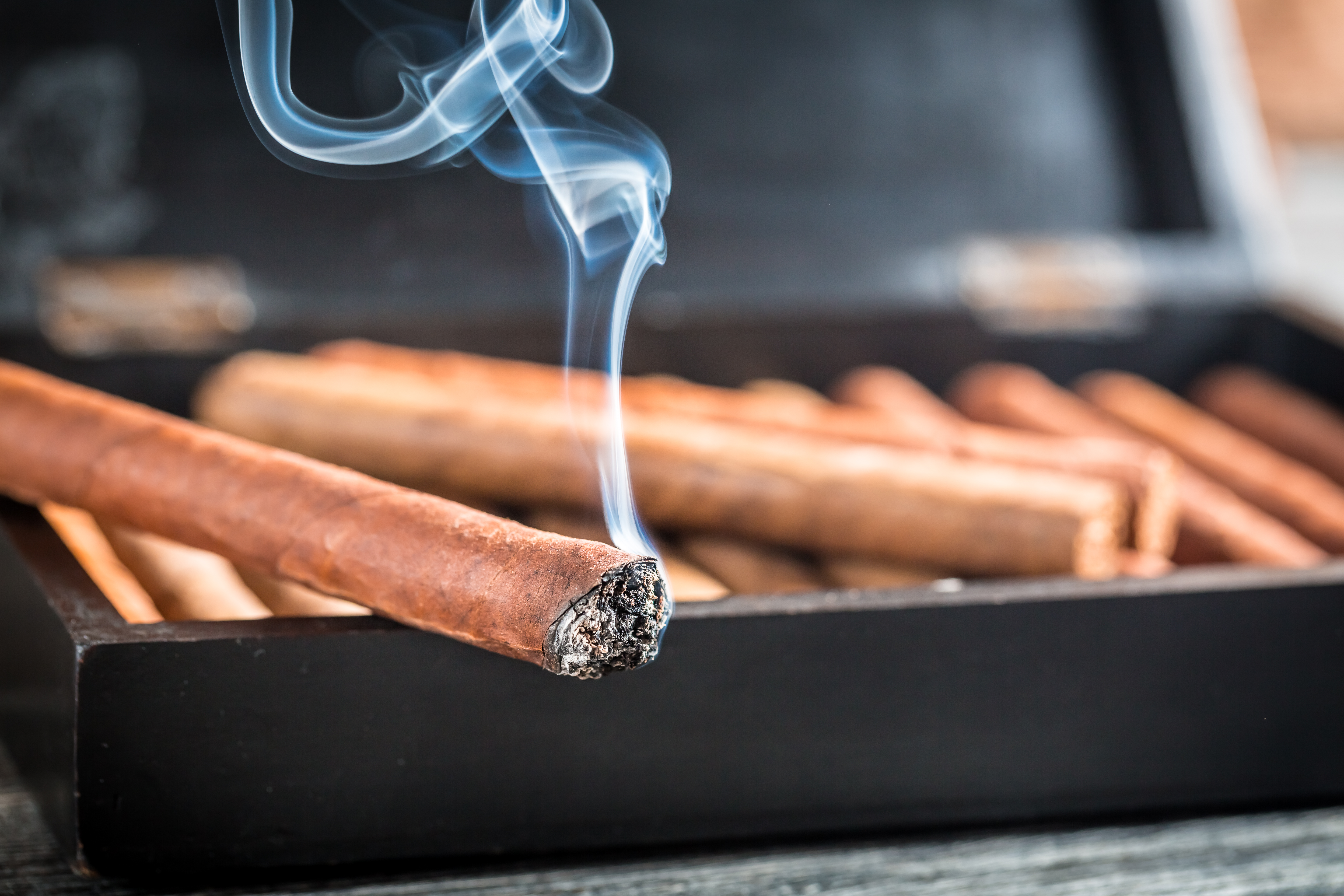 Rare and limited release cigars for retailers, smoke shops, and cigar lounges